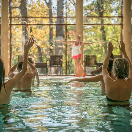 فندق Wellness غيولا