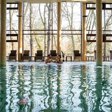 Wellness 4* ギュラ