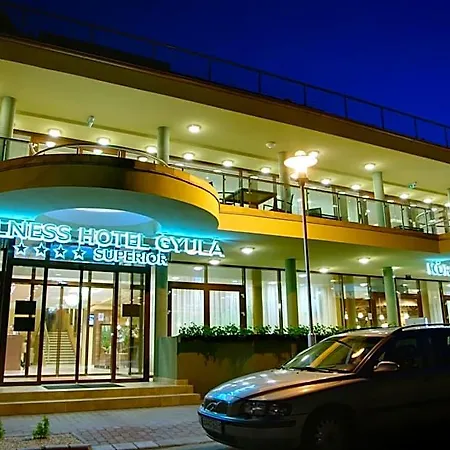 Wellness Hotel 4*