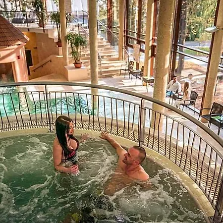 Wellness Otel 4*