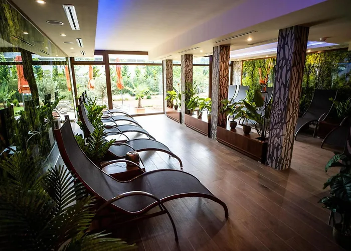 Wellness Otel Gyula